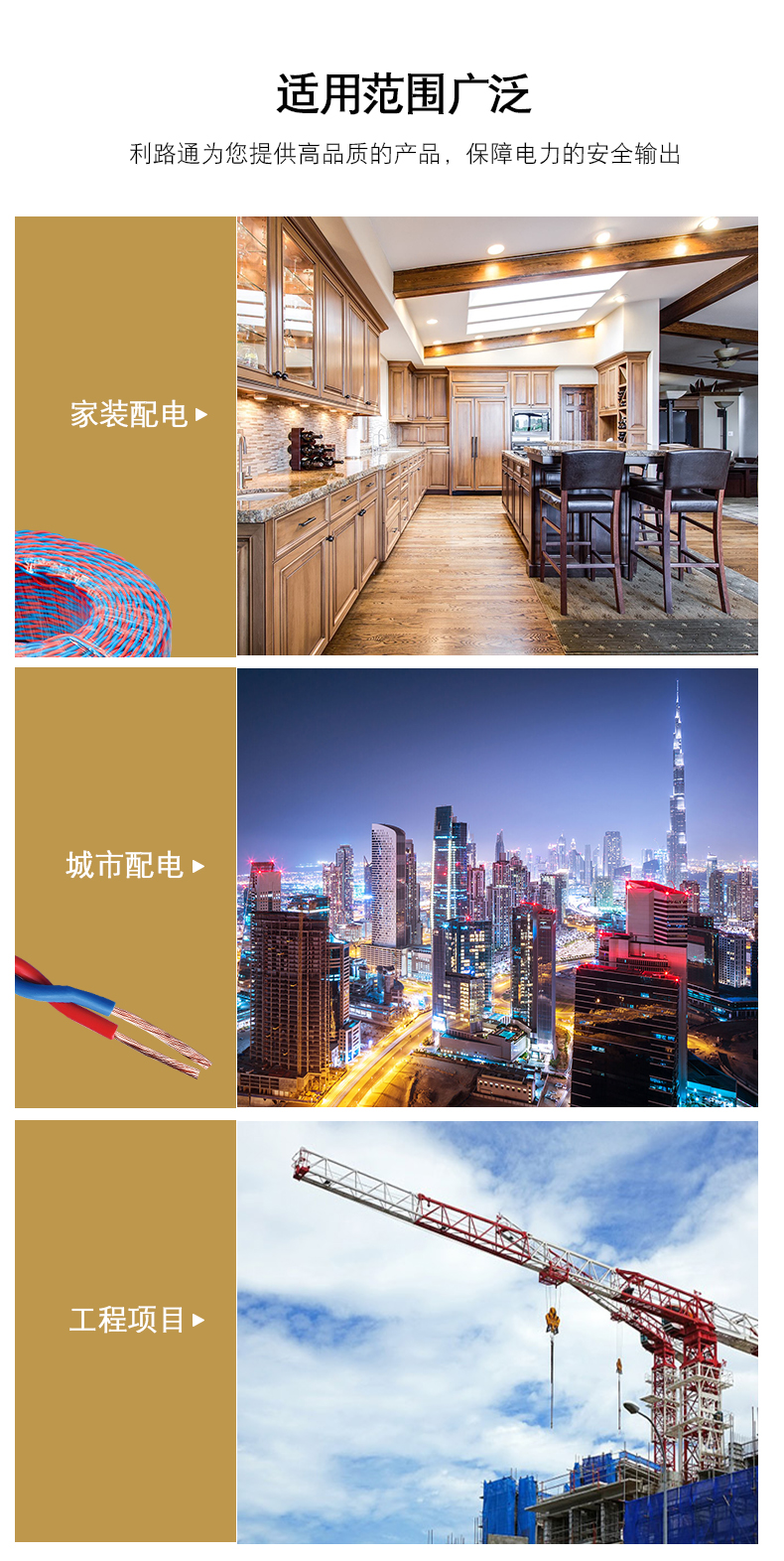 01  ZR-RVS詳情  (6)