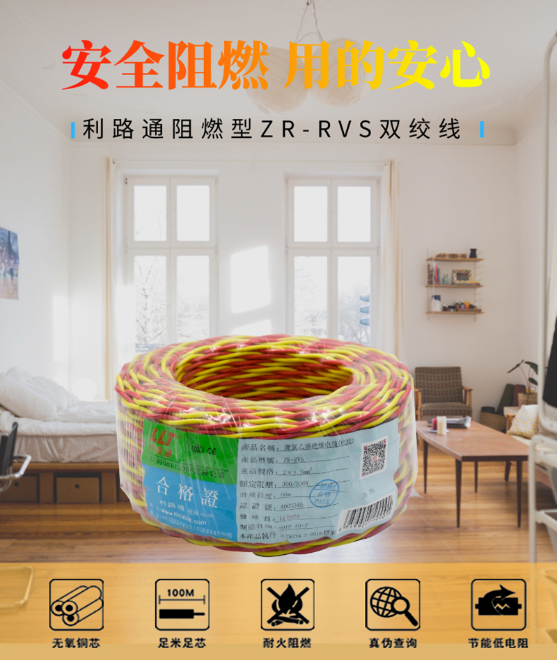 01  ZR-RVS詳情  (1)